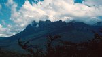 Canaima N.P., Auyán Tepui 30.11.1996